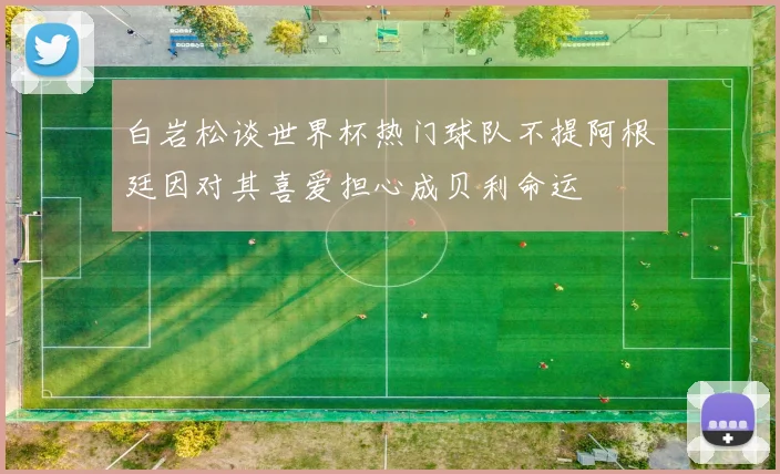 白岩松谈世界杯热门球队不提阿根廷因对其喜爱担心成贝利命运